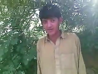 ham koni    
